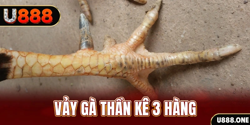 suwin nổ hũ đổi thưởng . ai