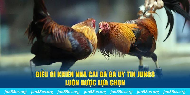 suwin bắn cá 30