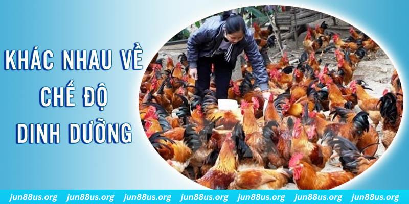 suwin xổ số thứ sáu hàng tuần