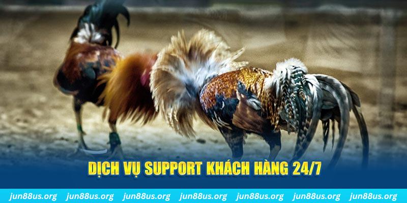 suwin Xóc Đĩa