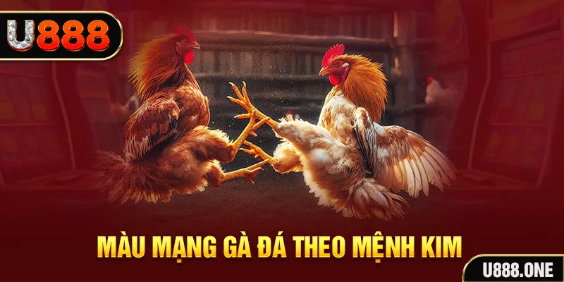 suwin gà chọi tiêu phong