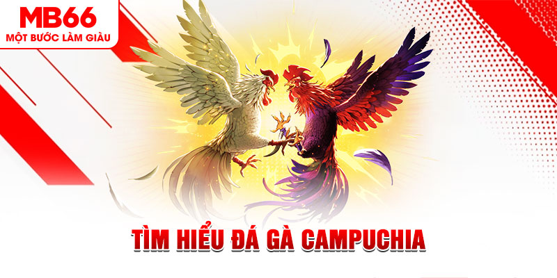 suwin tại sao không tải được nổ hũ