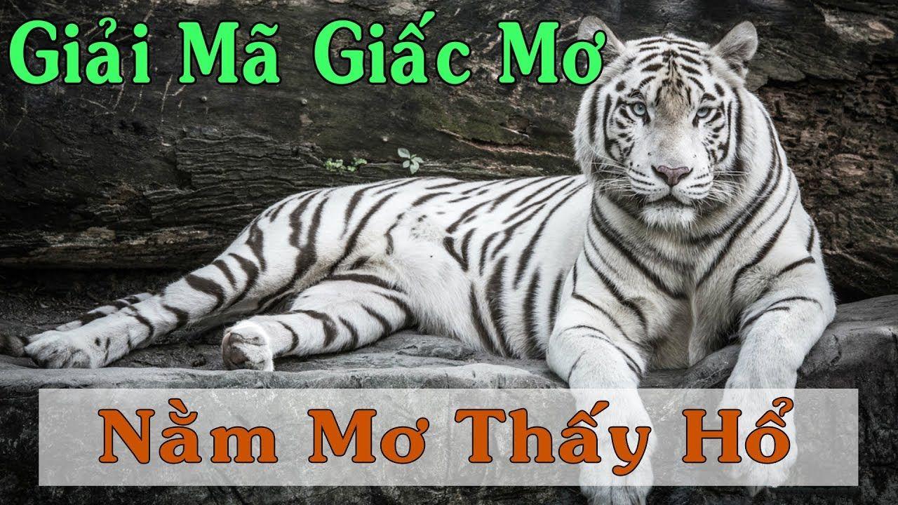 suwin xổ số miền trung