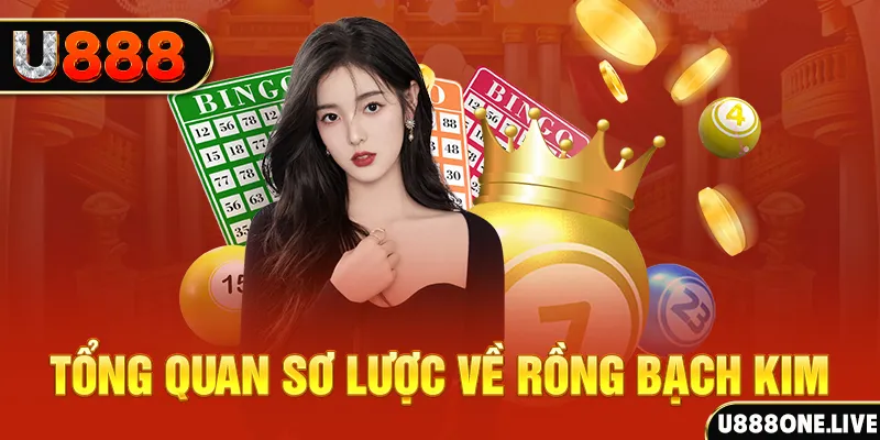 suwin how to win at slot machines