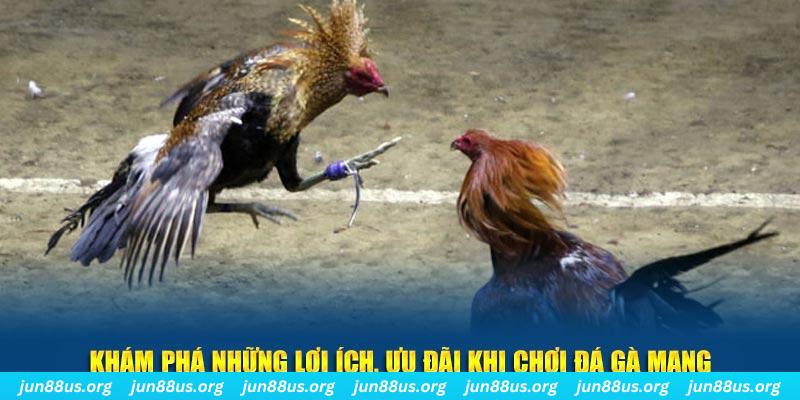 suwin Tài Xỉu 2