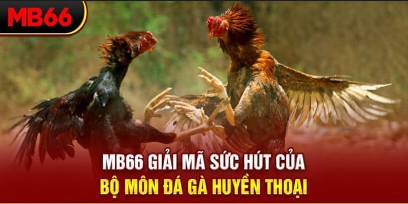 long bảo trong baccarat là gì