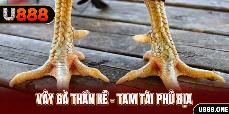 suwin xổ số 30 ngày