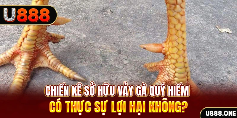 suwin game cá cược máy bay