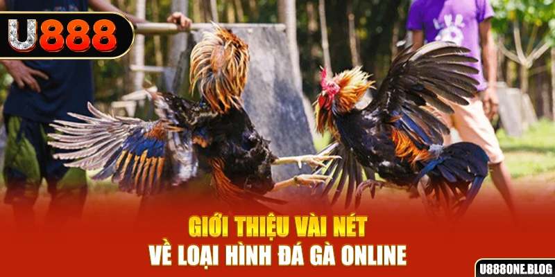 suwin xổ số miền nam thứ ba