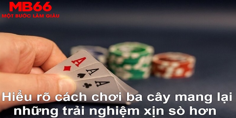 suwin xổ số quảng trị