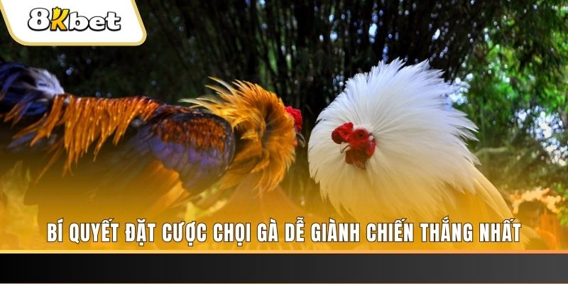 suwin may club nổ hũ