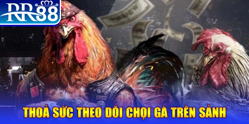 suwin NE Điện Tử