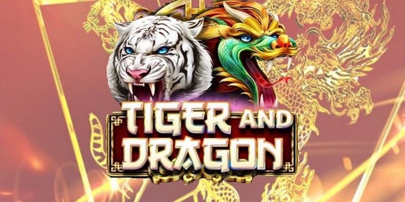 suwin cá cược tiếng anh là gì