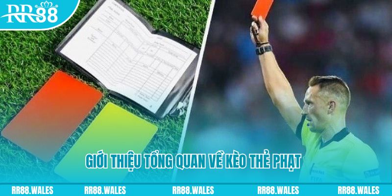 suwin đá gà trực tiếp c1